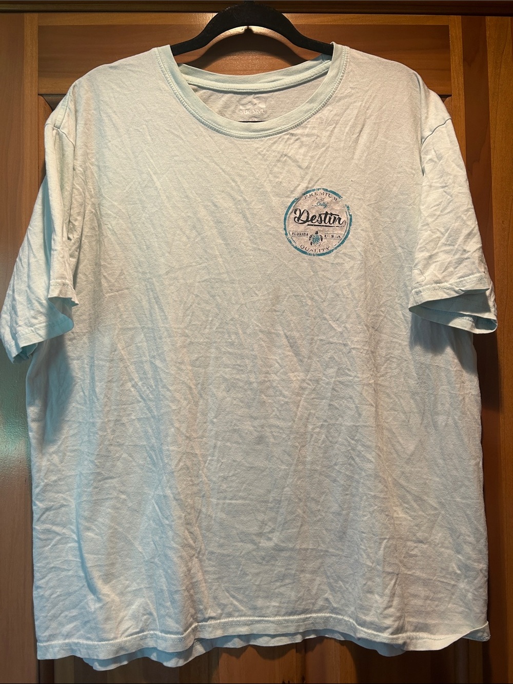 Graphic Destin Short-Sleeve Tee in Light Blue